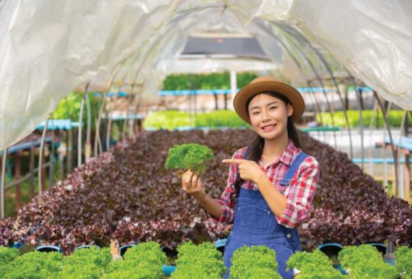 xuất khẩu lao động hàn quốc ngành nông nghiệp